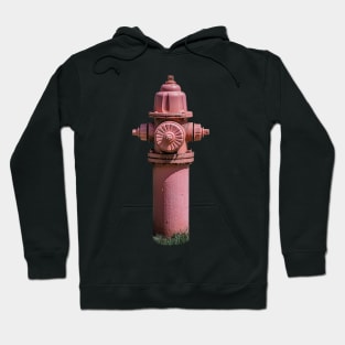 Fade to Pink Hoodie